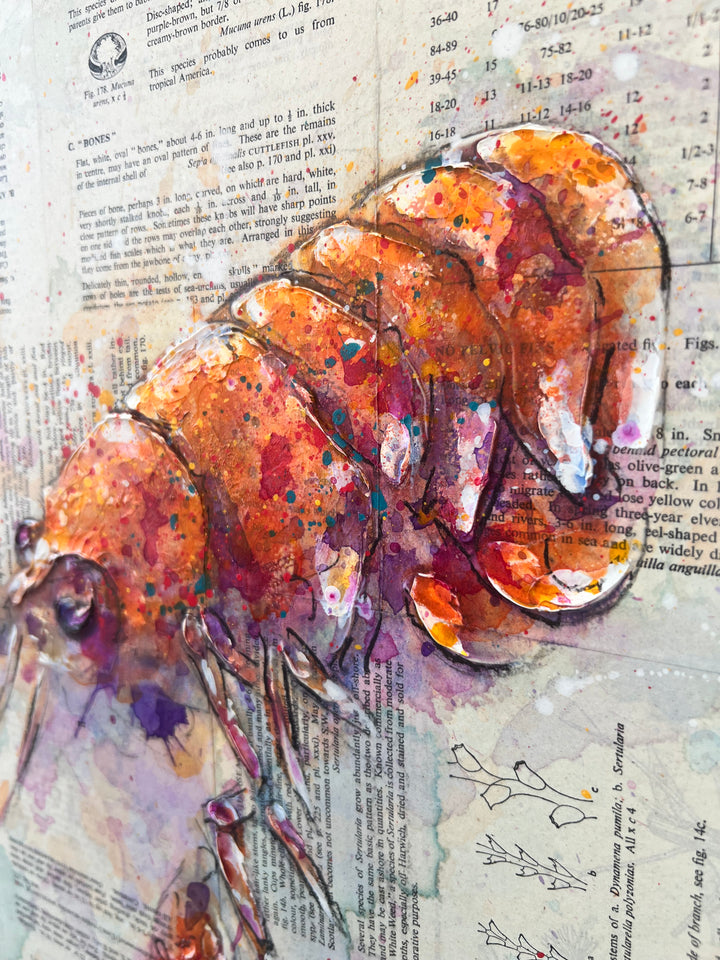 One Red Langoustine by Giles Ward