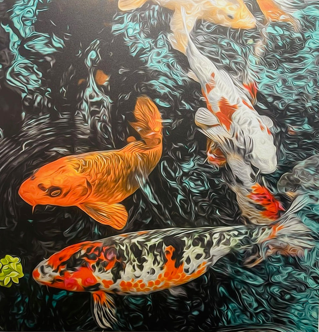 Koi Fury by Duncan Wade