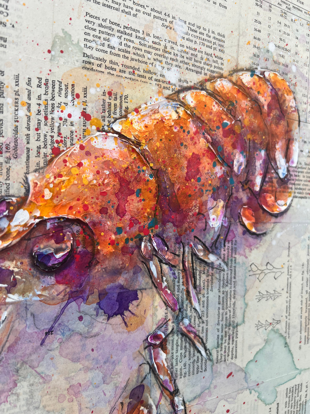 One Red Langoustine by Giles Ward