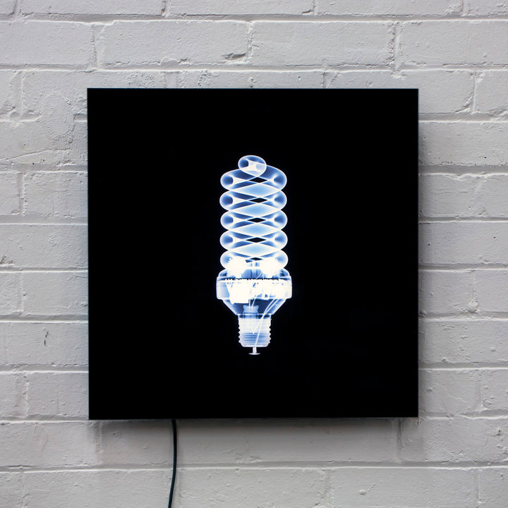 Illumination Lightbulb by Nick Veasey