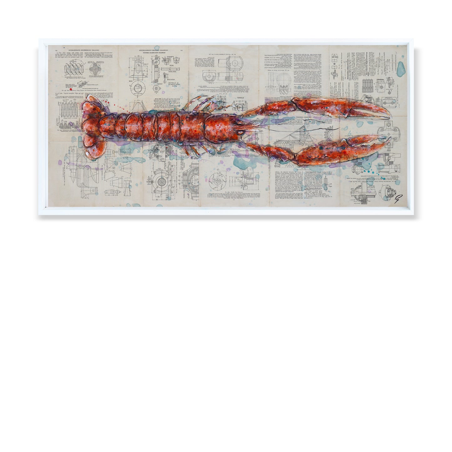 A Single Langoustine by Giles Ward