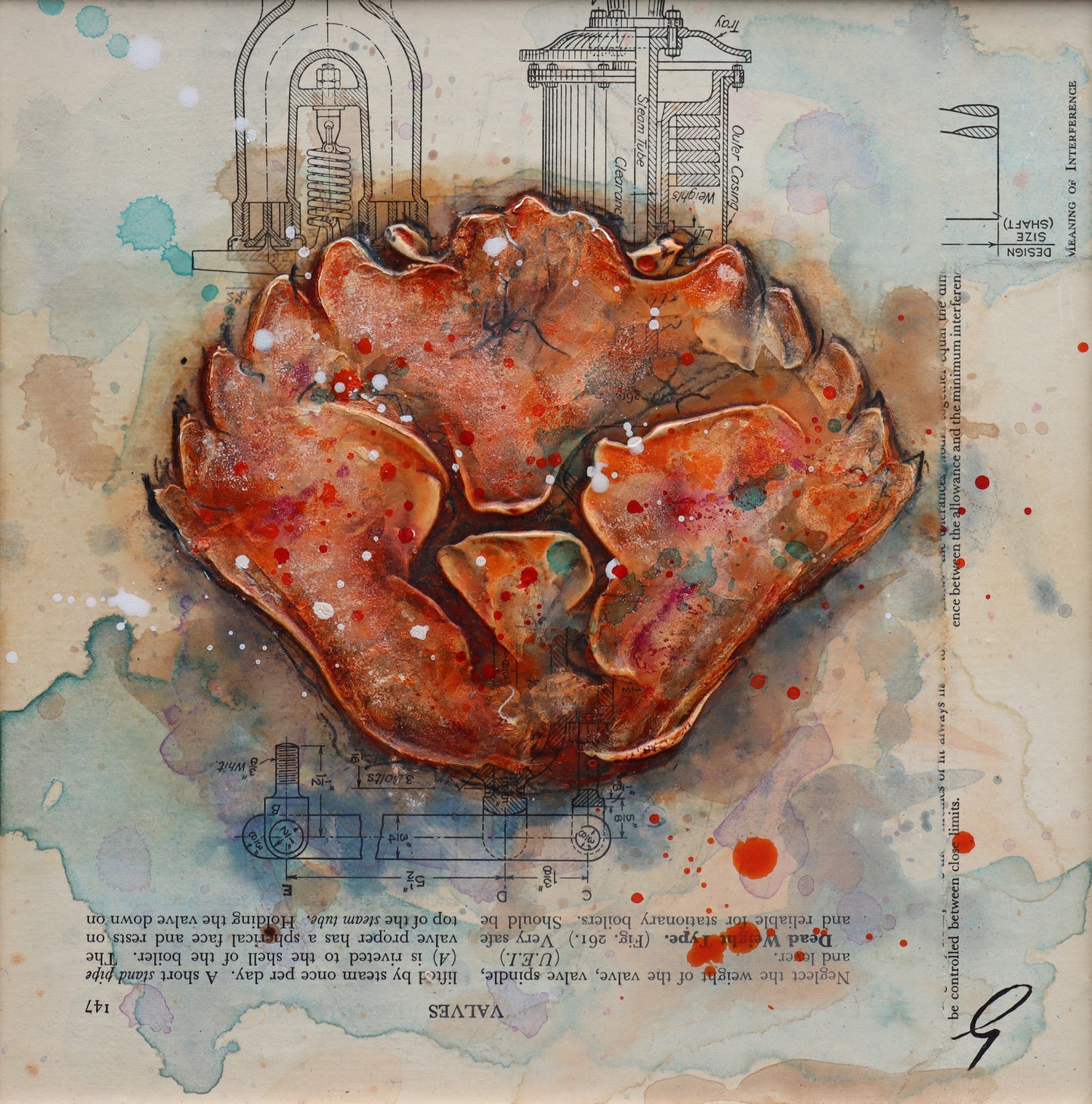 Small Discarded Crab Shell by Giles Ward