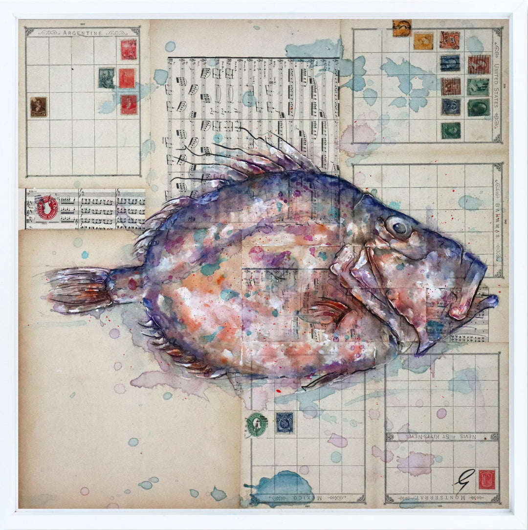 John Dory Scales by Giles Ward available at Startle