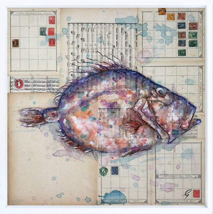 John Dory Scales by Giles Ward available at Startle