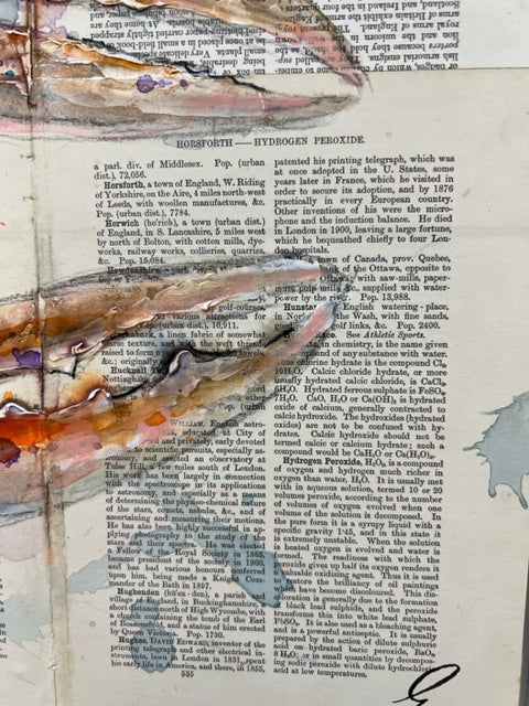 Red Langoustine by Giles Ward