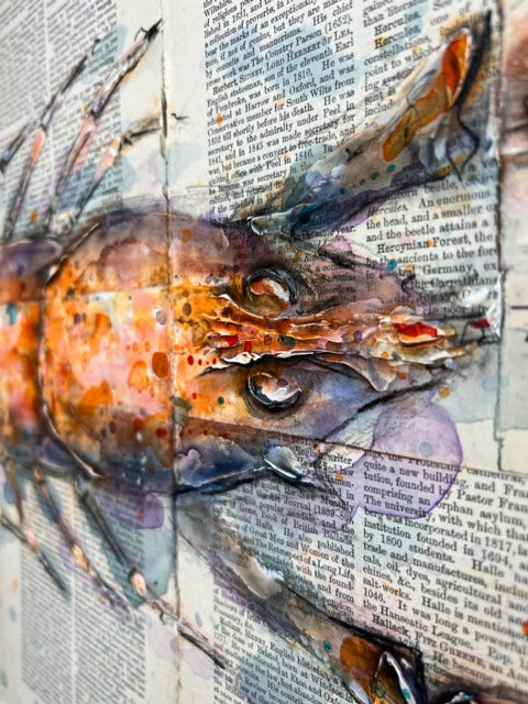 Red Langoustine by Giles Ward