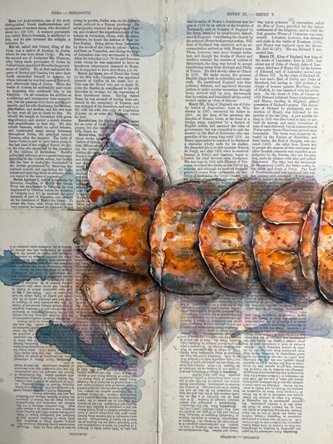 Red Langoustine by Giles Ward