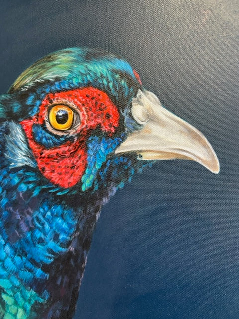 Pheasant by Gina Hawkshaw