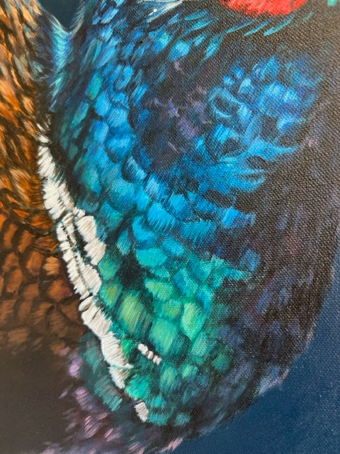 Pheasant by Gina Hawkshaw