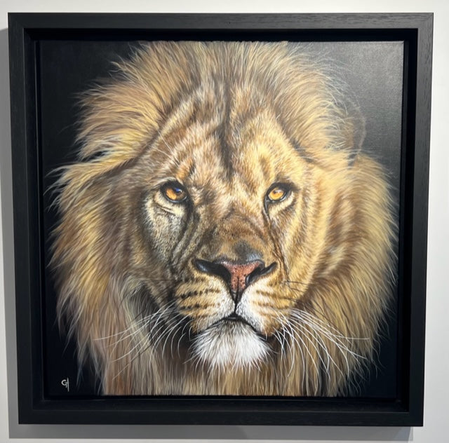 Aslan II by Gina Hawkshaw