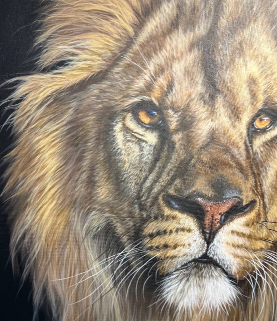Aslan II by Gina Hawkshaw