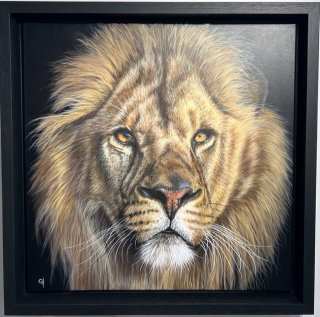 Aslan II by Gina Hawkshaw