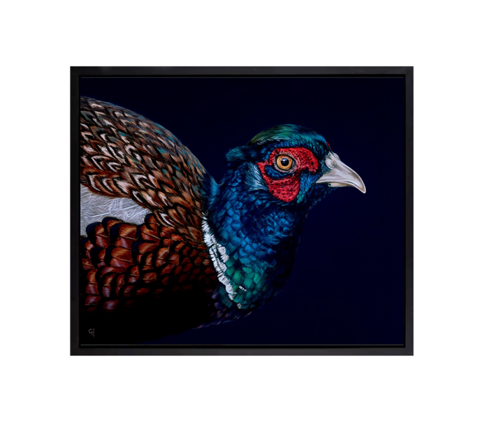 Pheasant by Gina Hawkshaw