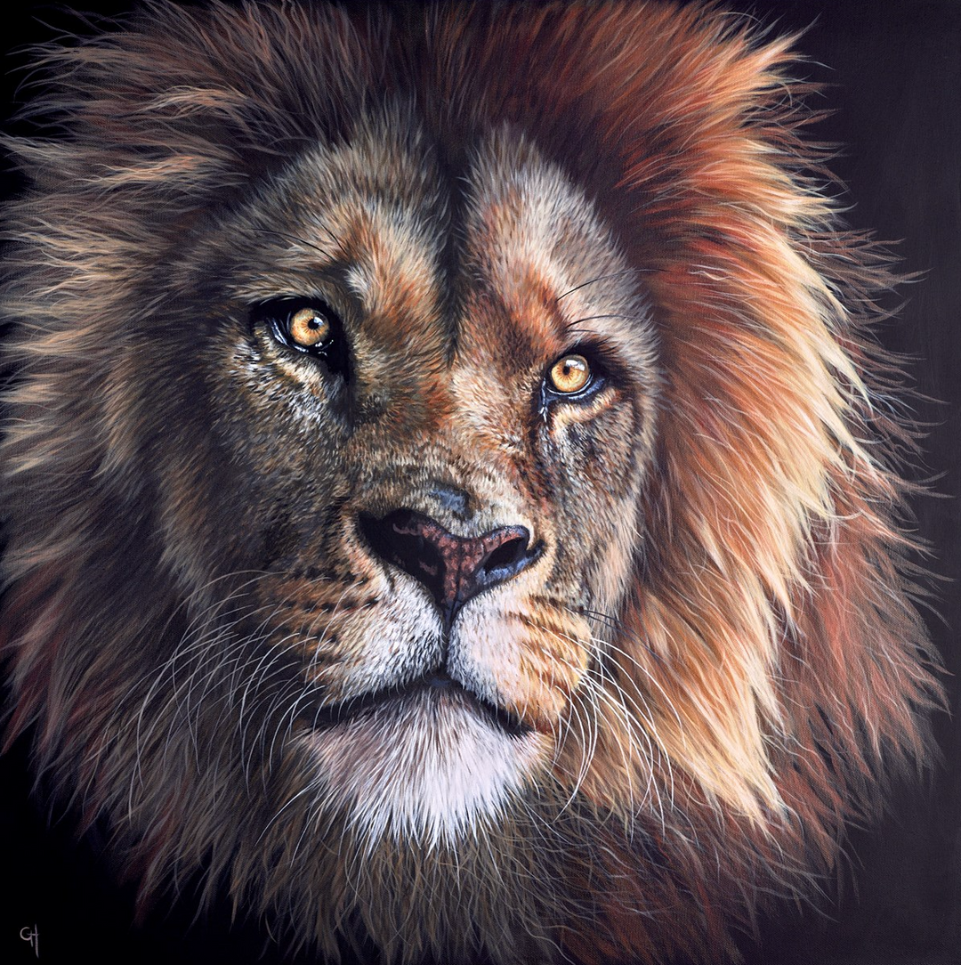 Ready To Go by Gina Hawkshaw