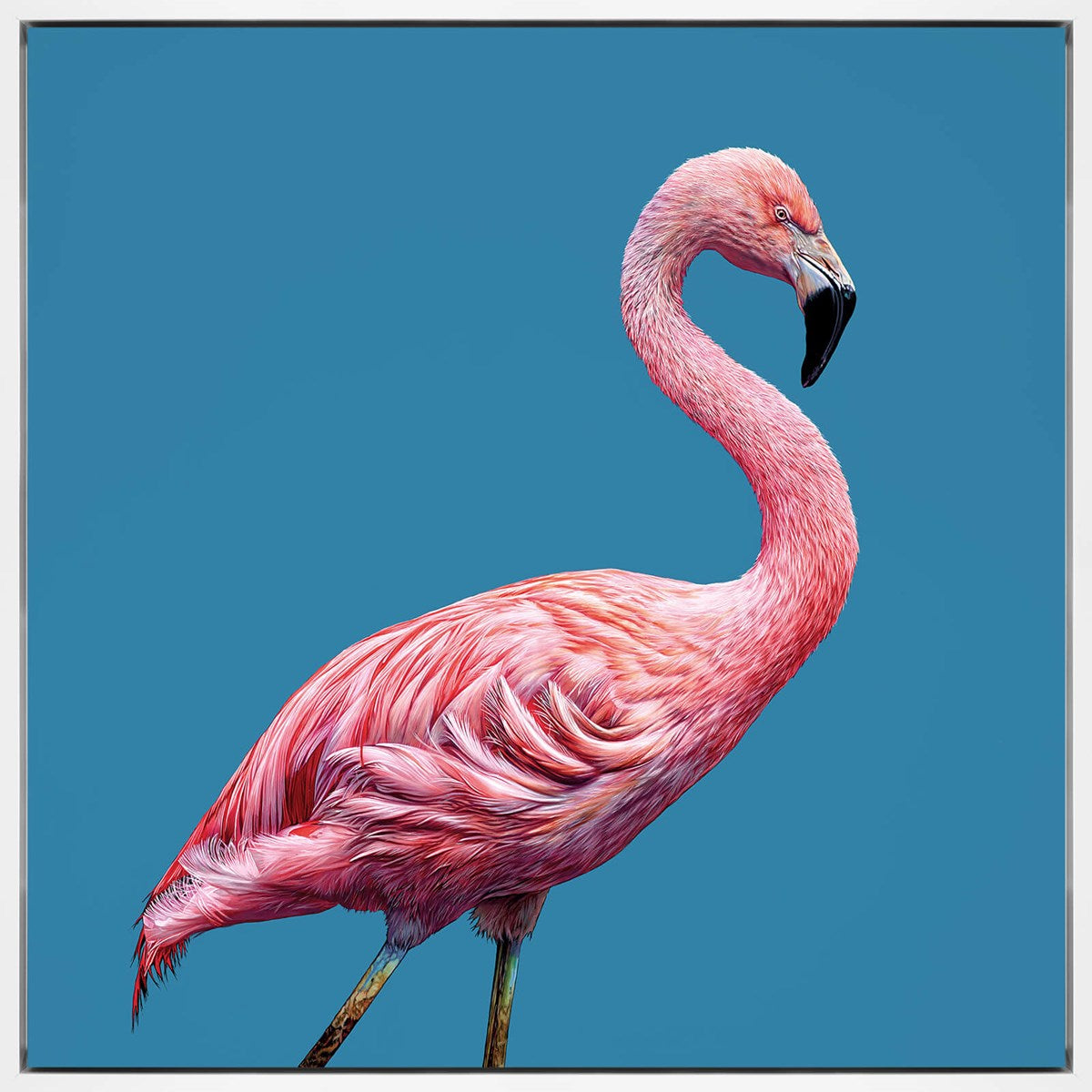 Strike a Pose by Christopher Green