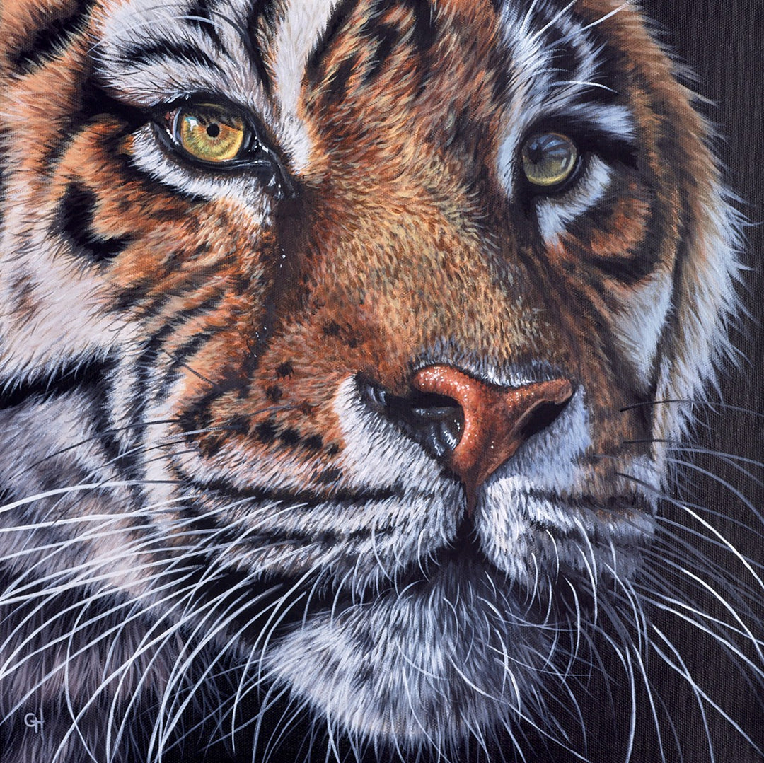 Tiger Eyes IV by Gina Hawkshaw