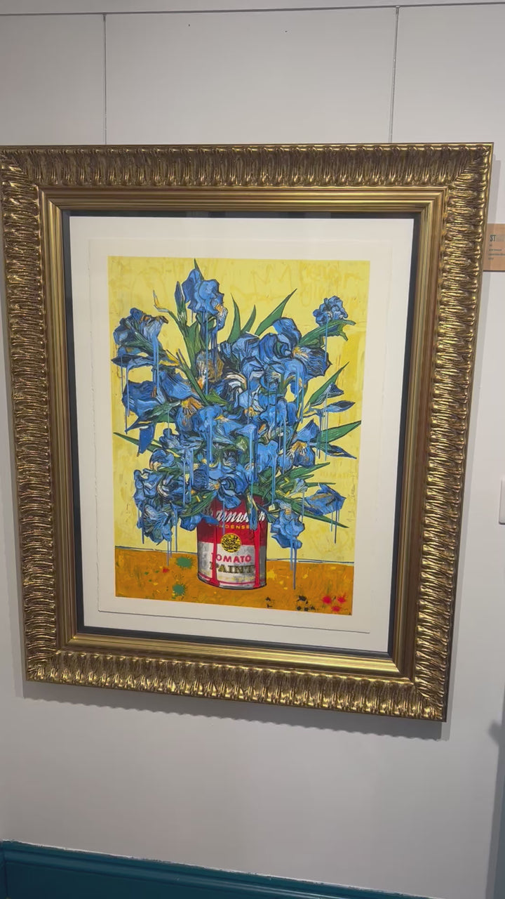 Iris by Mr Brainwash