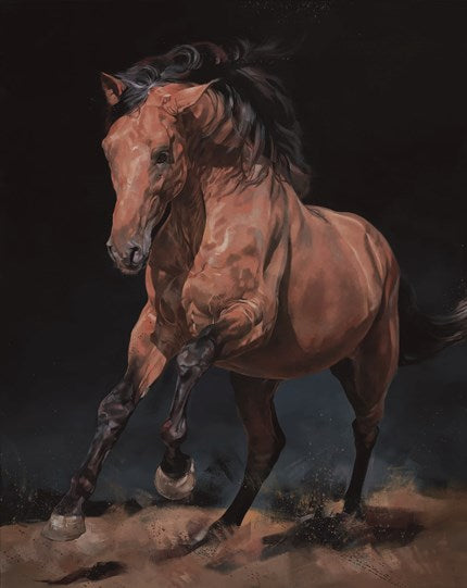 Chasing The Wind by Debbie Boon