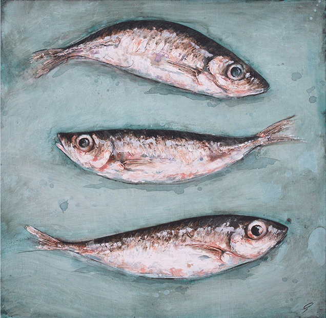 Mackerel Scad by Giles Ward