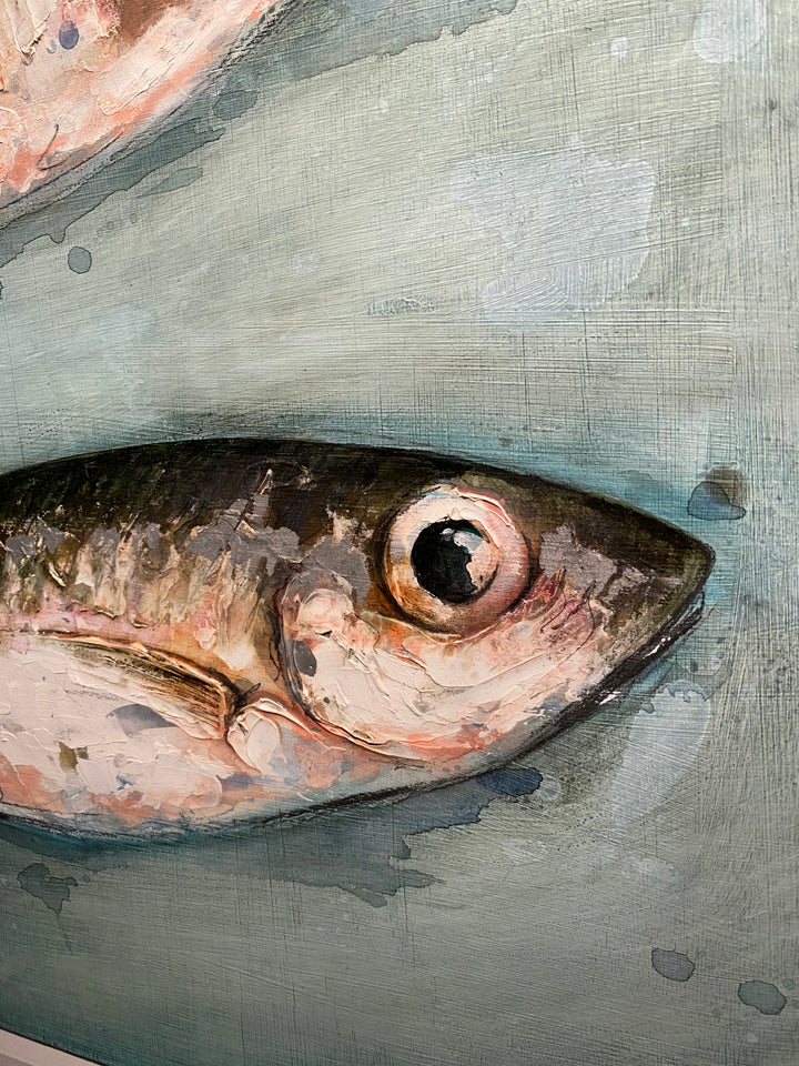 Mackerel Scad by Giles Ward