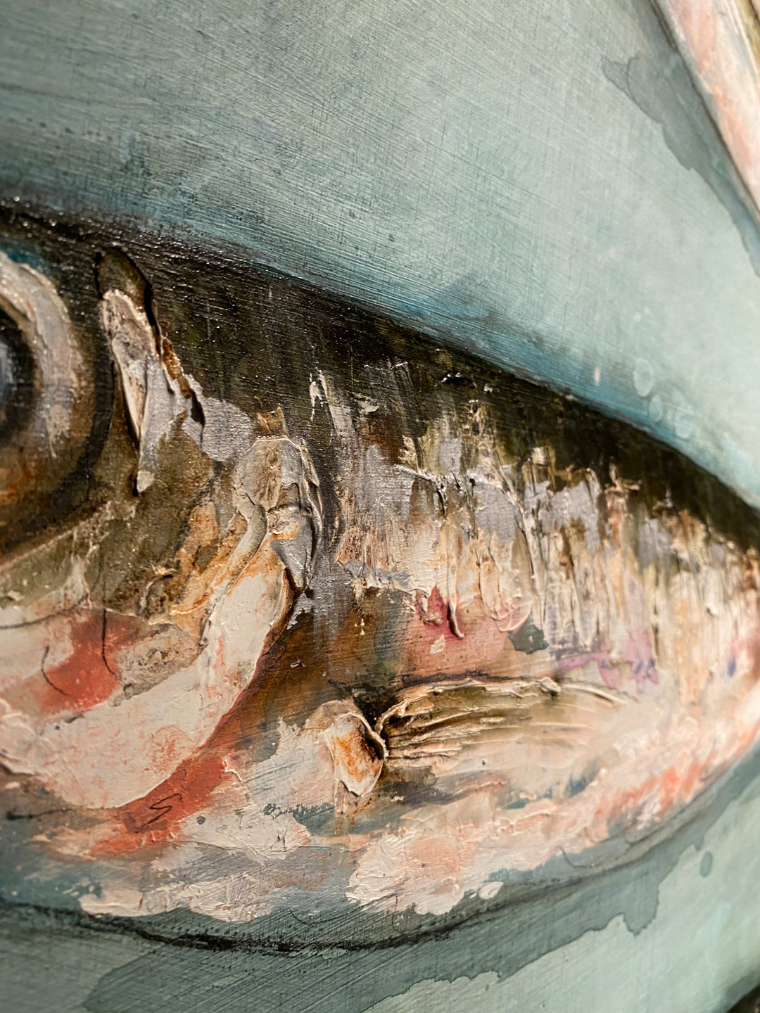 Mackerel Scad by Giles Ward