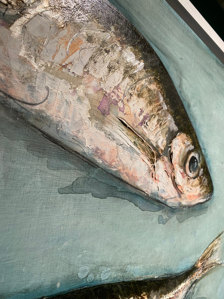 Mackerel Scad by Giles Ward