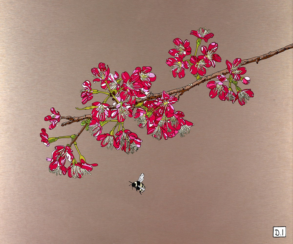 Cherry Blossom and Bee by Dylan Izaak