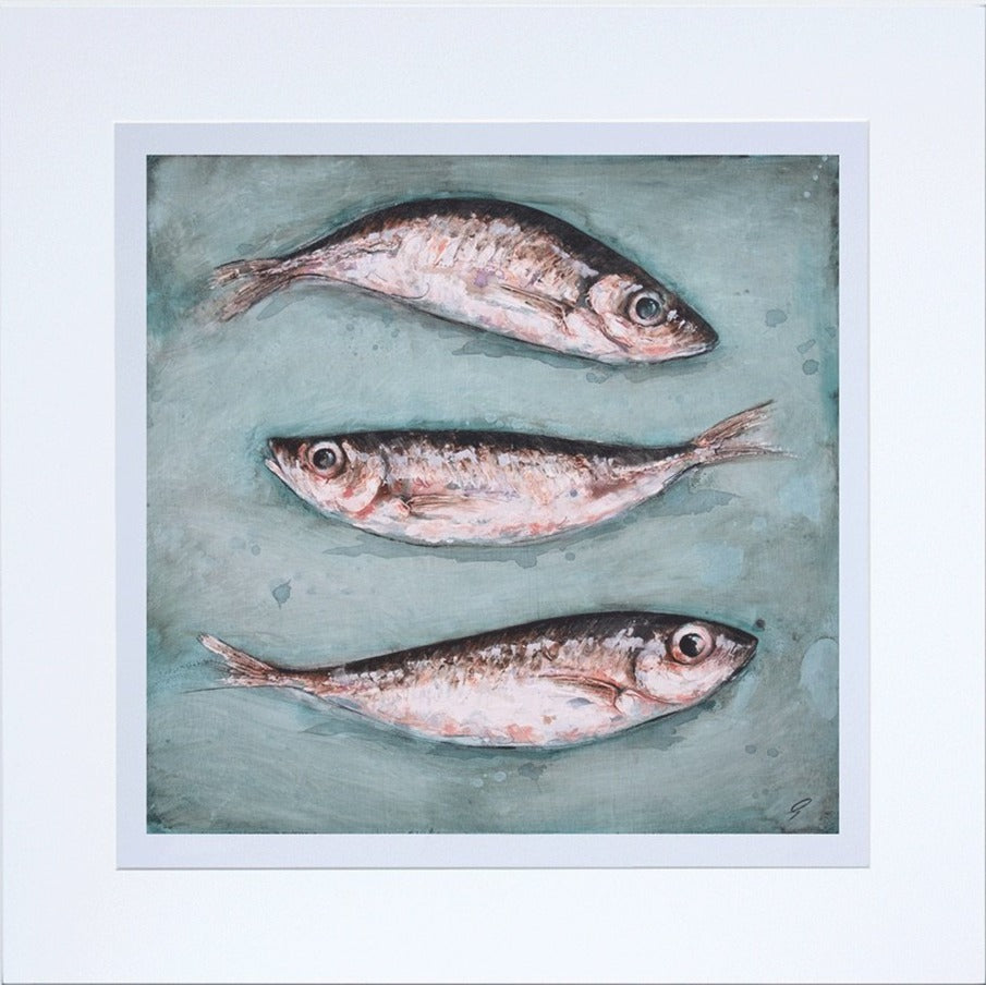 Mackerel Scad by Giles Ward