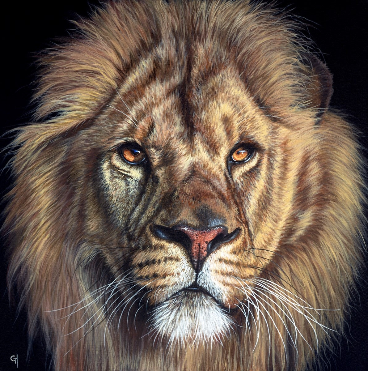 Aslan II by Gina Hawkshaw