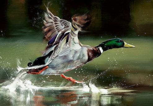 On Your Marks by Debbie Boon