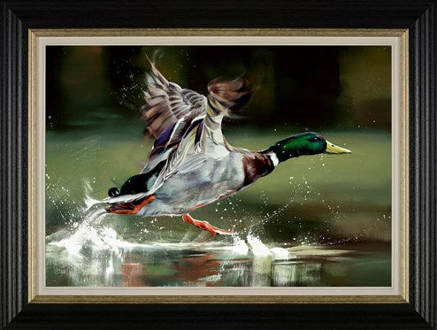 On Your Marks by Debbie Boon