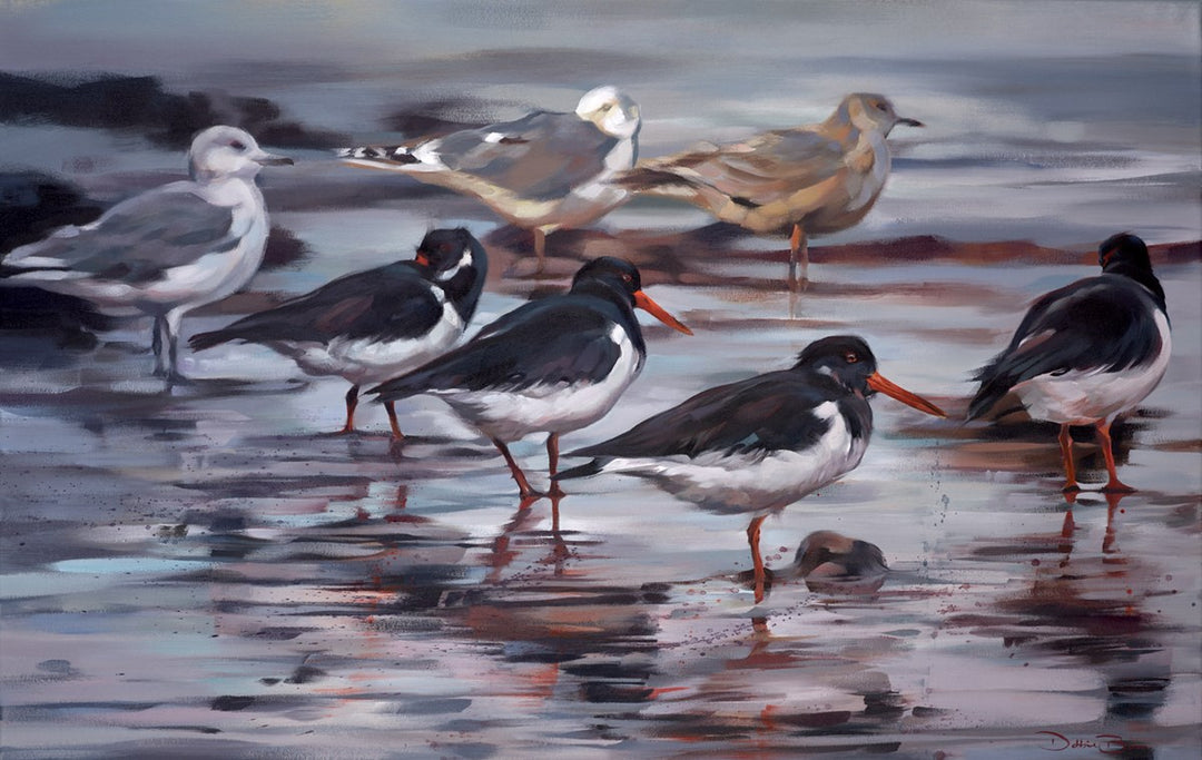 Oystercatchers by Debbie Boon