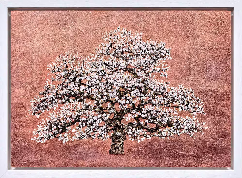 Afterglow by Jack Frame