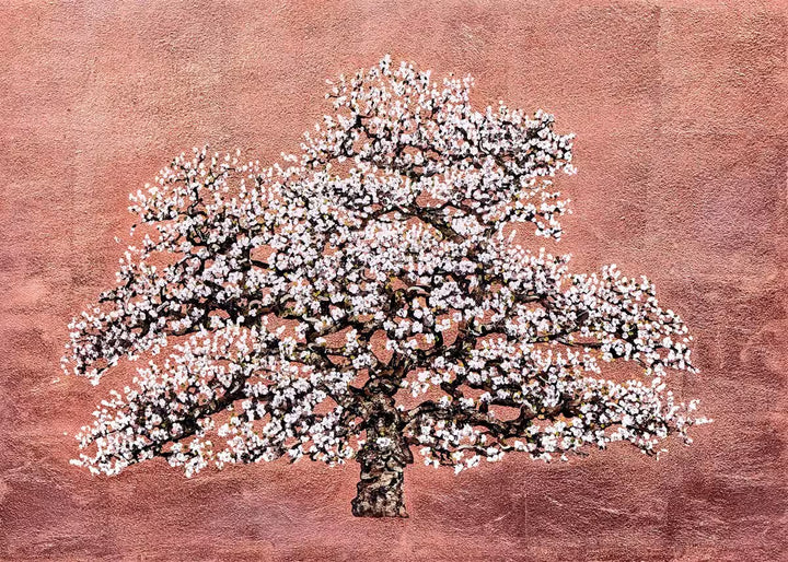 Afterglow by Jack Frame