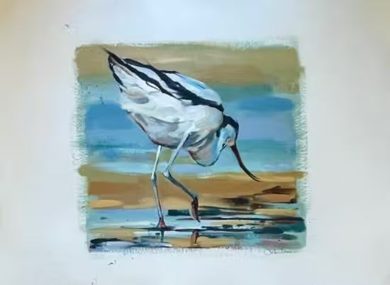 A Debbie Boon original sketch and the title is Avocet Study I