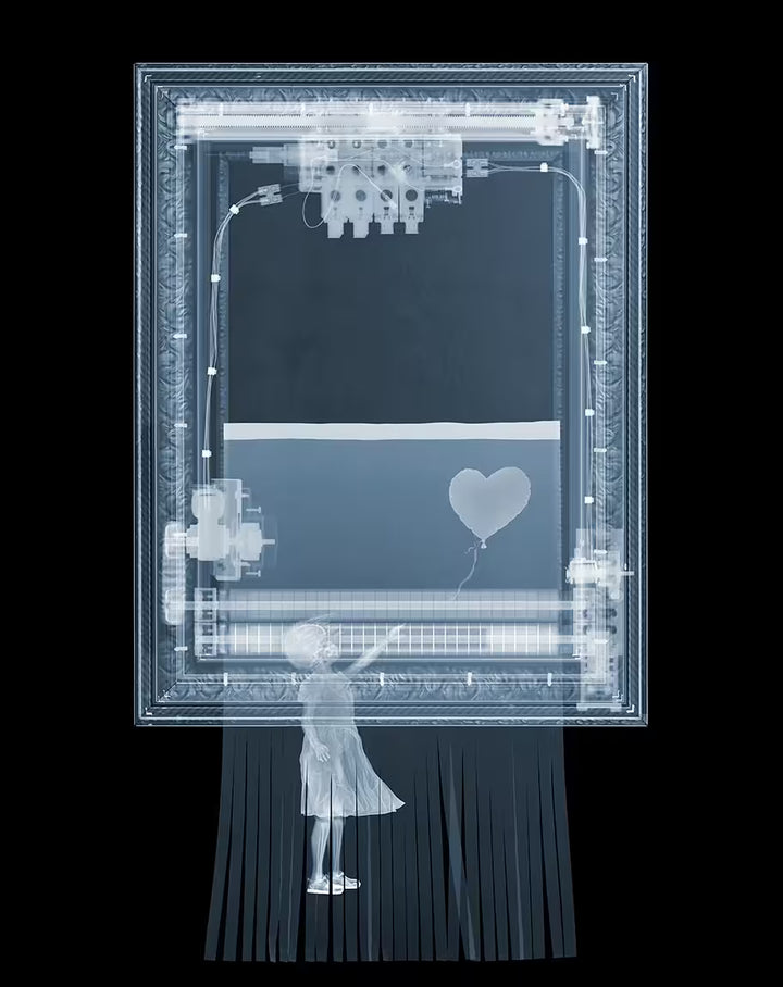 A limited edition Chromaluxe print by Nick Veasey of an X-Rayed picture frame and the picture is being shredded, the title is BanXsy (After)