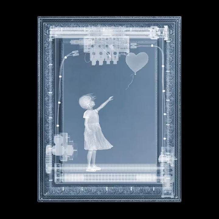 A limited edition Chromaluxe print by Nick Veasey of an X-Rayed picture frame, the title is BanXsy (Before)