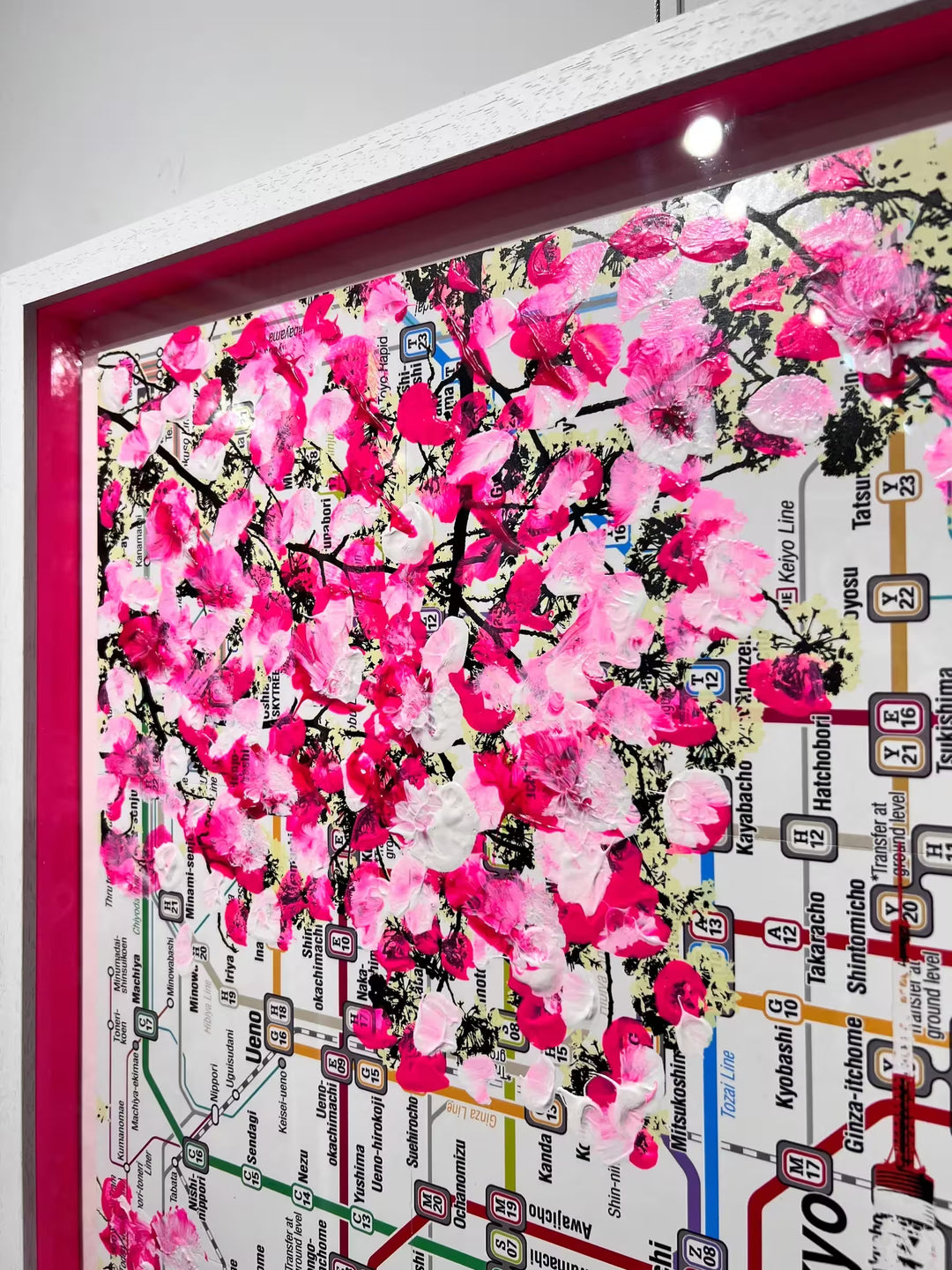 Jayson Lilley Cherry Blossoms close