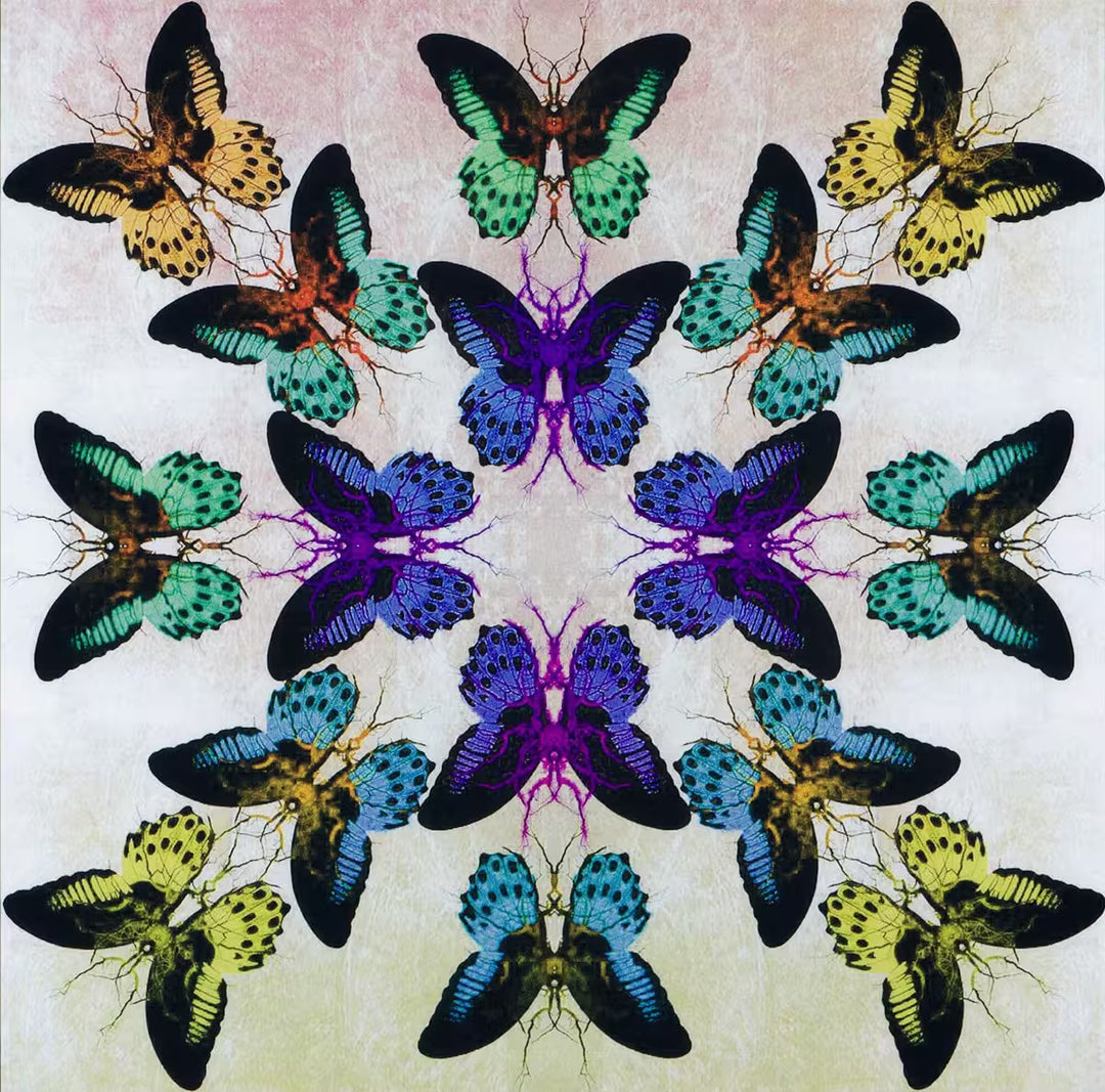 Colourful butterfly pattern with a kaleidoscope effect on a light background, Collide by Maxim