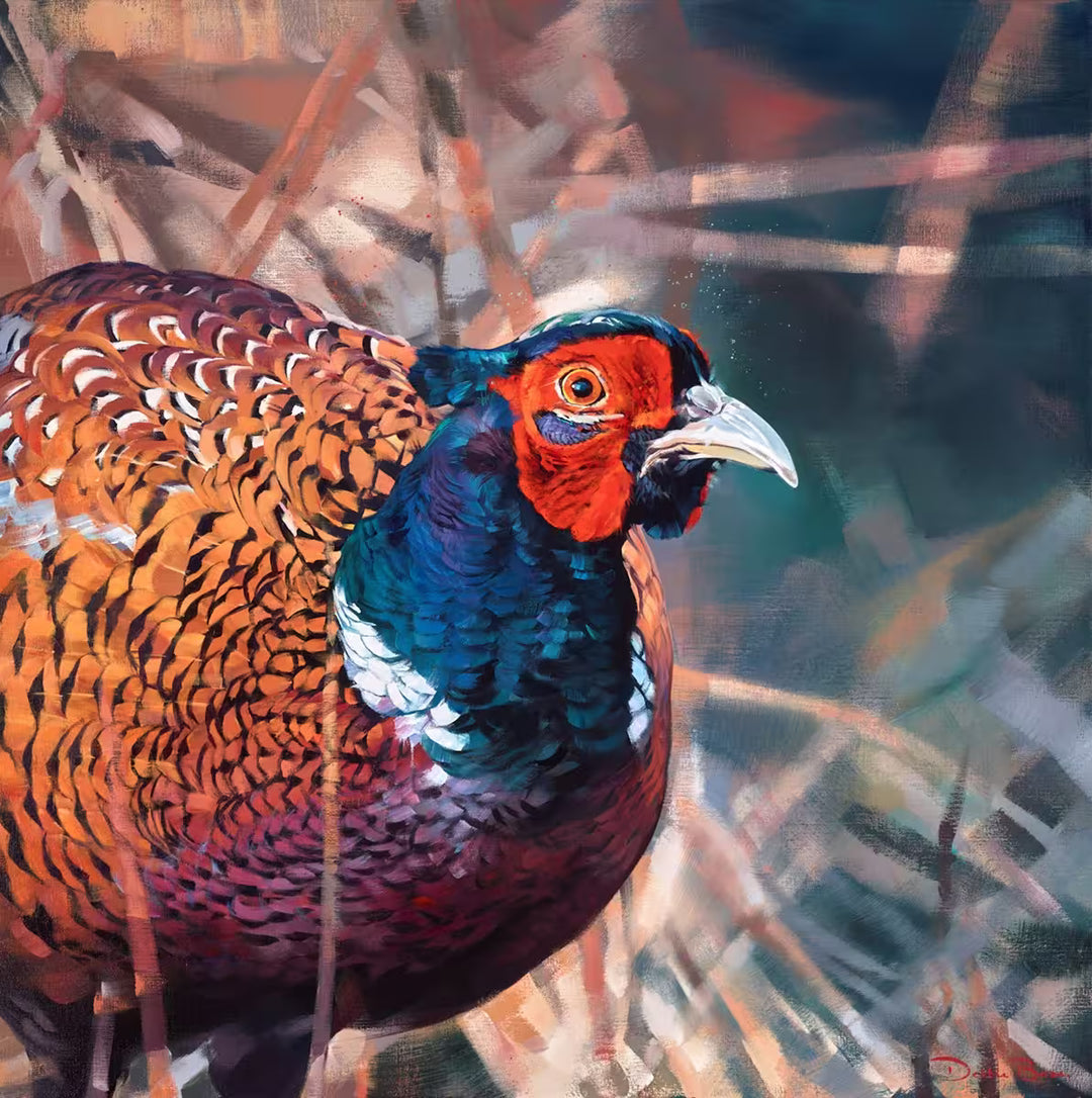 A Debbie Boon original of a Pheasant in some shrubbery, the title is Colourful Character