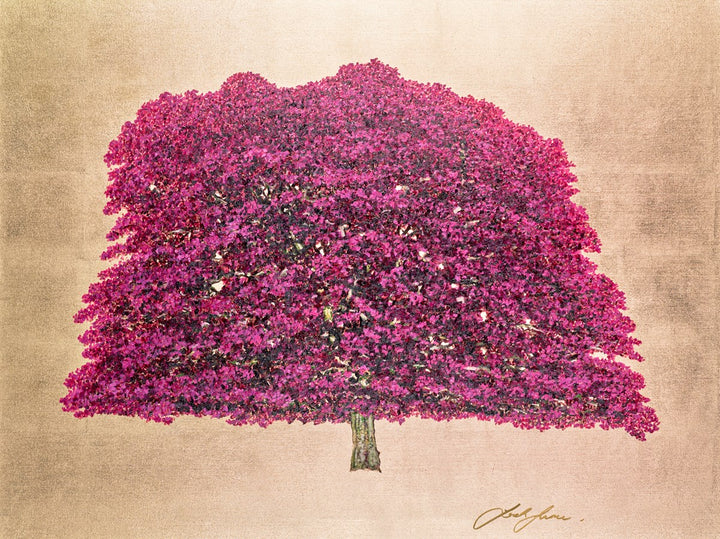 Copper Beech by Jack Frame