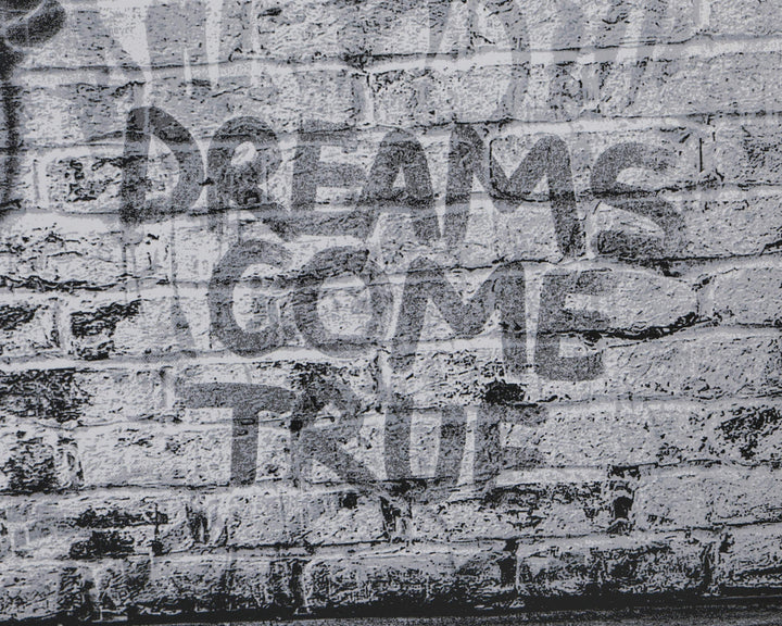 Dreams Come True (Deluxe) by Mr Brainwash