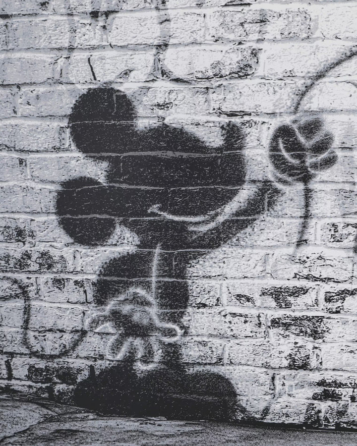 Dreams Come True (Deluxe) by Mr Brainwash