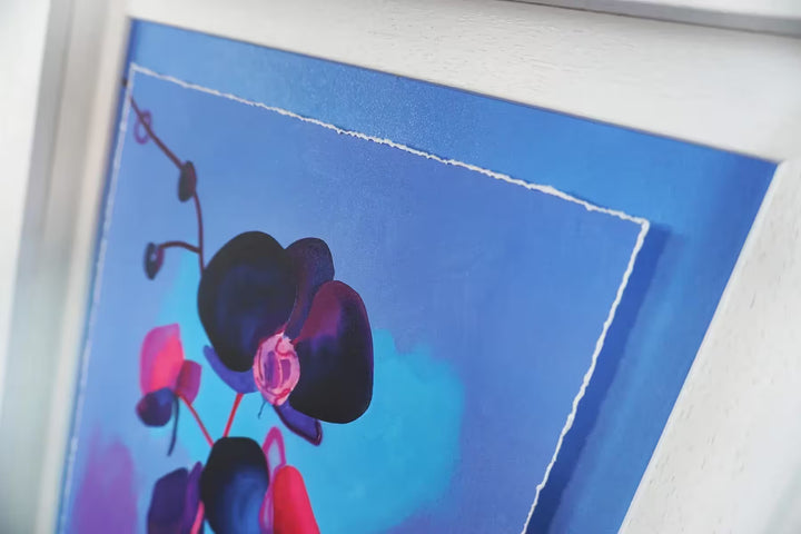 A Tim Fowler limited edition of a neon flower, the title is Eclipse