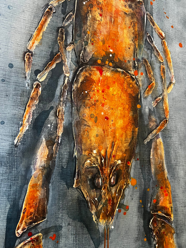 Langoustine by Giles Ward