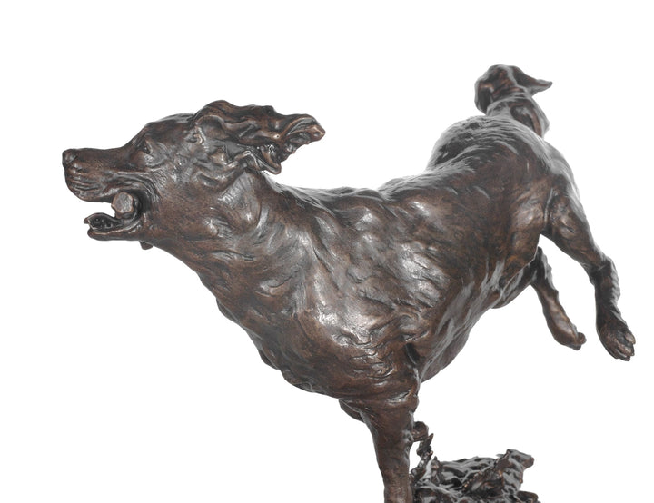 Free Spirit by Dean Kendrick