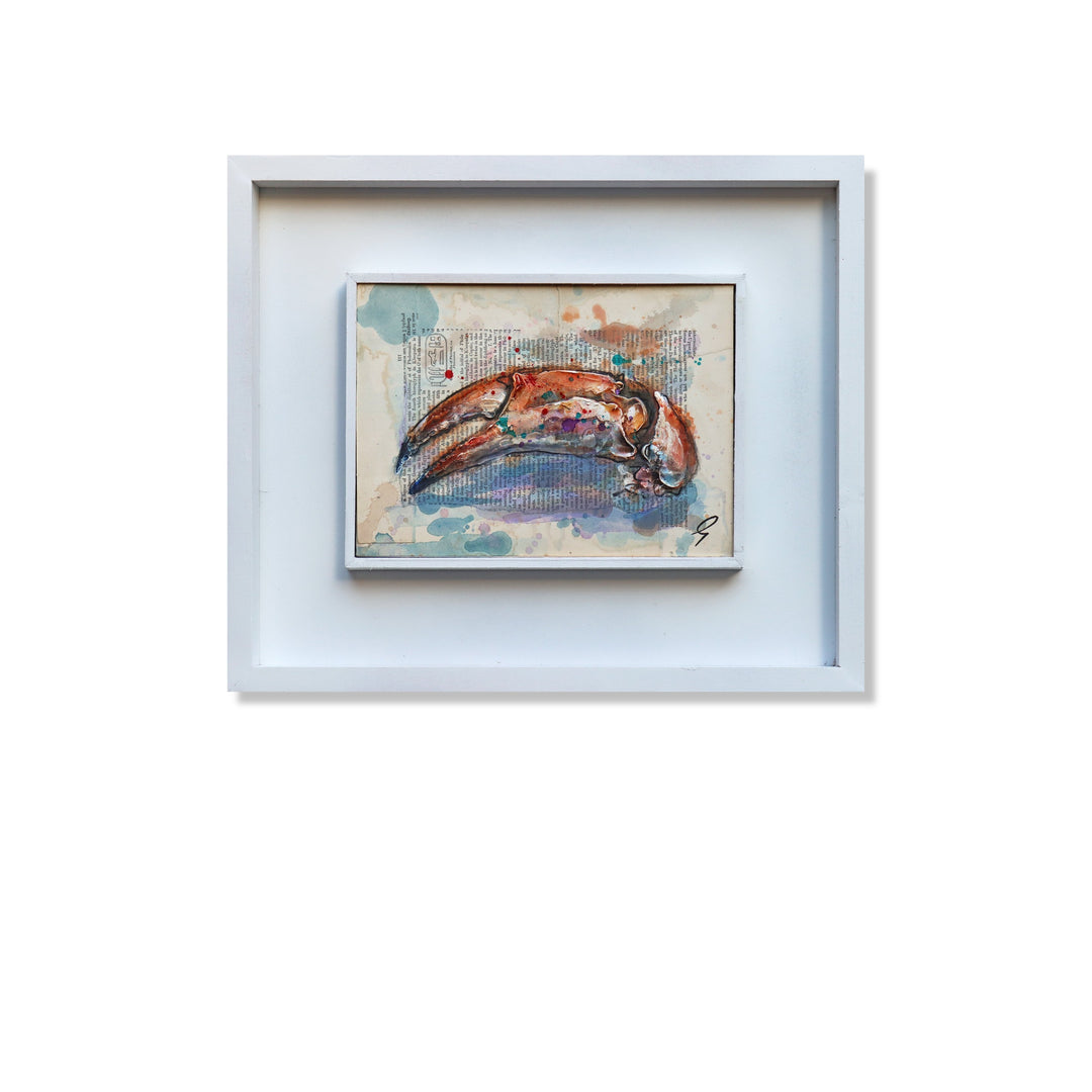 A Single Crab Claw by Giles Ward