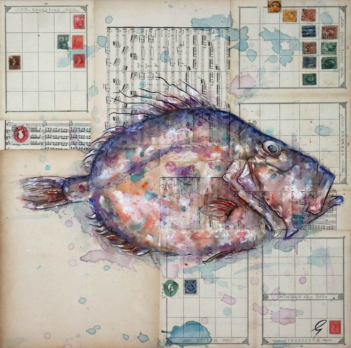 John Dory Scales by Giles Ward available at Startle