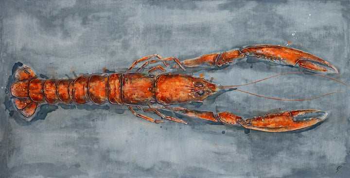 Langoustine by Giles Ward