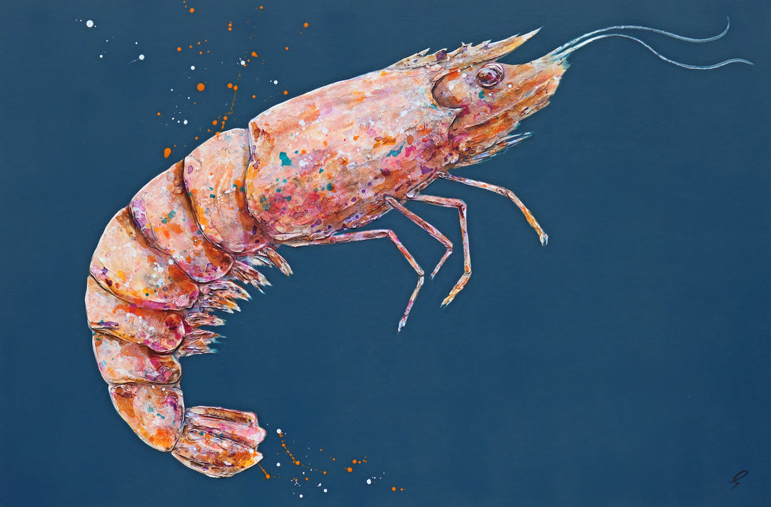 Madagascan Tiger Prawn by Giles Ward available at Startle